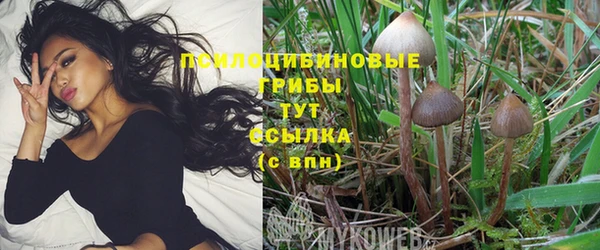 шишки Алексеевка