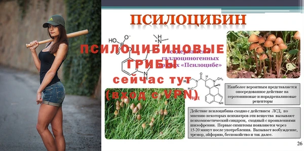 мескалин Алексин