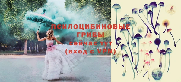 мескалин Алексин