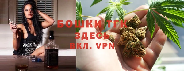 шишки Алексеевка