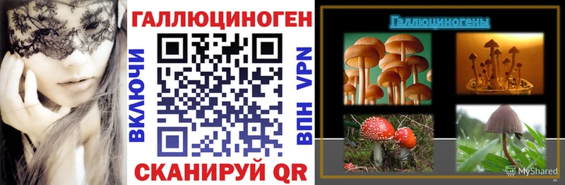 hydra ссылка  закладка  Новочеркасск  Псилоцибиновые грибы ЛСД 