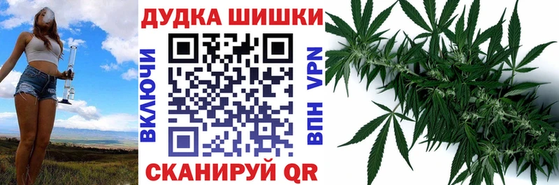 купить наркоту  Новочеркасск  Конопля план 